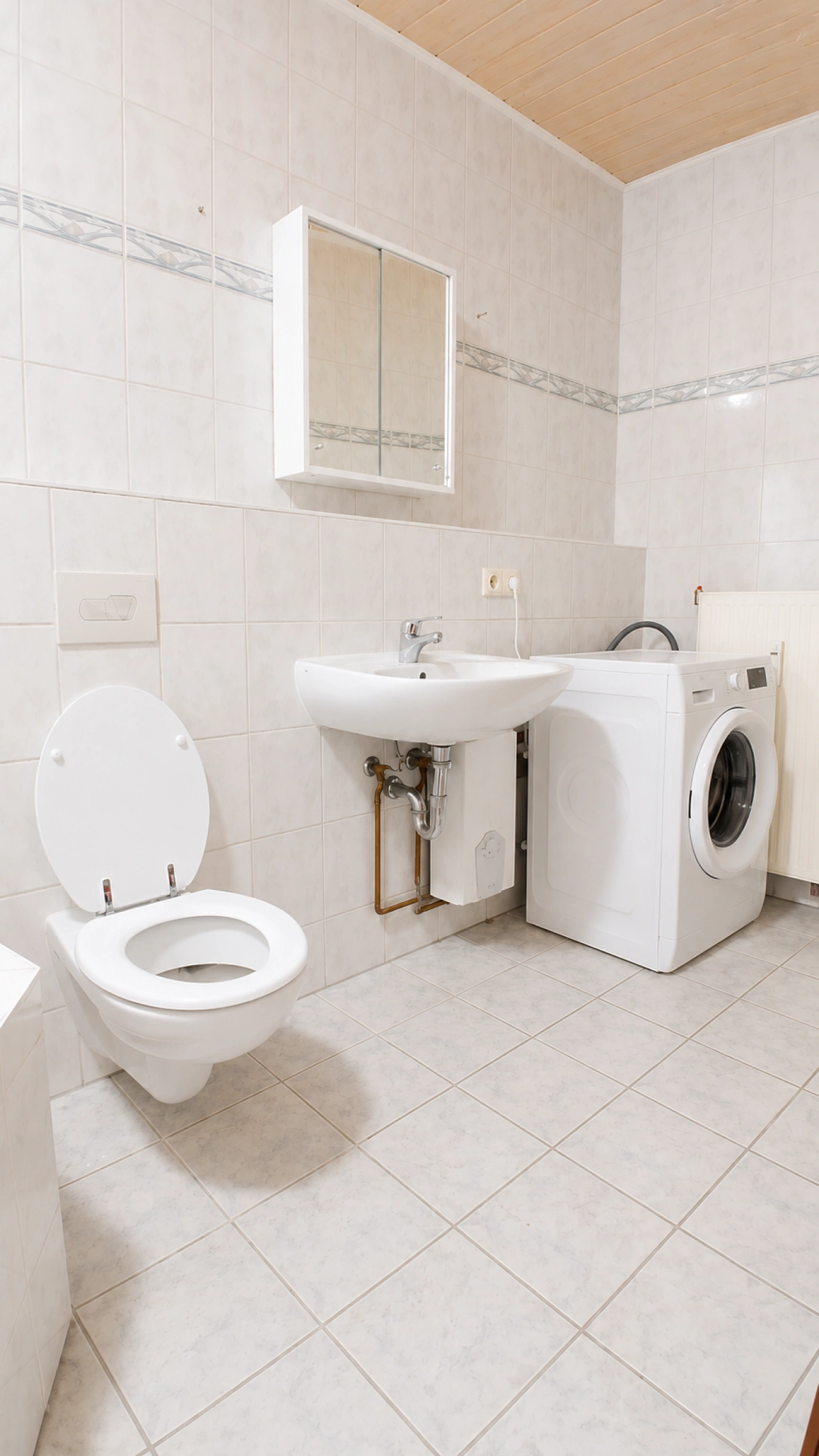 Delitzsch 4 - Badezimmer mit Waschmaschine